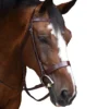 Black Oak By KL Select Foxtrot Hunt Bridle -Farm housse KL 1118 FoxtrotHunter 653b51bb cc88 48e9 b08e 455e92826998