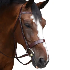 Black Oak By KL Select Foxtrot Hunt Bridle