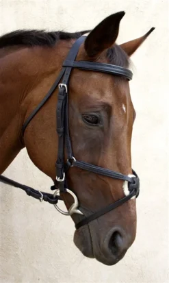 Nunn Finer Fair Hill Figure 8 Bridle -Farm housse NF8EB 6T