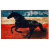 Olivia's Home Accent Rugs -Farm housse Olivias.Home .Accent.Rug Wild.Mustang