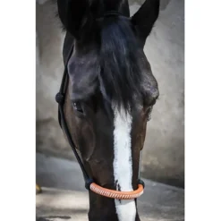 Penelope American Halter -Farm housse Pen AmericanRope 2