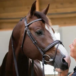 Penelope Daily Bridle 9 Penelope Daily Bridle -Farm housse Pen Daily 1