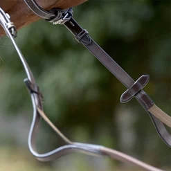 Penelope Elastic Reins -Farm housse Pen ElasticRein 3
