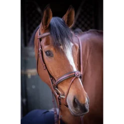 Penelope US Bridle 13 Penelope US Bridle -Farm housse Pen US 5