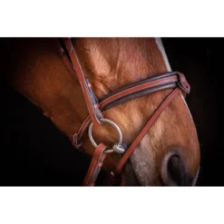 Penelope US Bridle 10 Penelope US Bridle -Farm housse Pen Us 2
