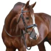 Penelope Daily Bridle 1 Penelope Daily Bridle -Farm housse Penelope Daily.Bridle