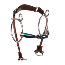 Trust Sweet Iron Curb Gag Eliptical Bit