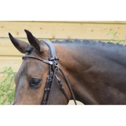 Jump'in Elastic Gogue - Week Collection 7 Jump'in Elastic Gogue - Week Collection -Farm housse Untitled Jump inElasticGogue WeekCollection