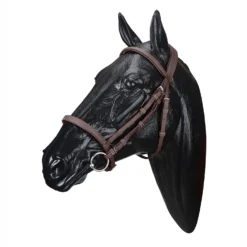 Wintec English Bridle -Farm housse WABRIDCBRN