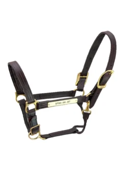 Walsh Kentucky Halter -Farm housse Walsh Kentucky Halter Havana brown thread 85485.1582144107.1280.1280