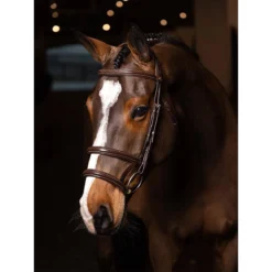 LeMieux Kudos Double Noseband Bridle -Farm housse aa7821ec59537a8aeadaba09504e47a6