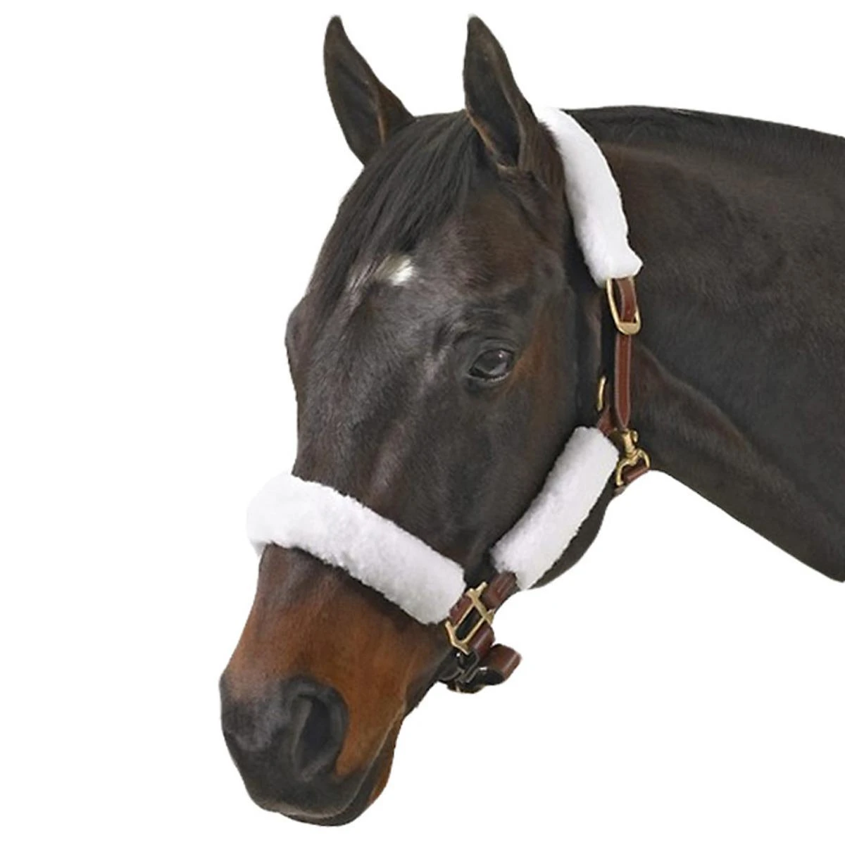 Halter Kit 3 Halter Kit