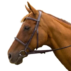 HDR Pro Mono Crown Padded Fancy Bridle -Farm housse aa96e5b5 6dc6 41b4 b160 9e38730ec04d