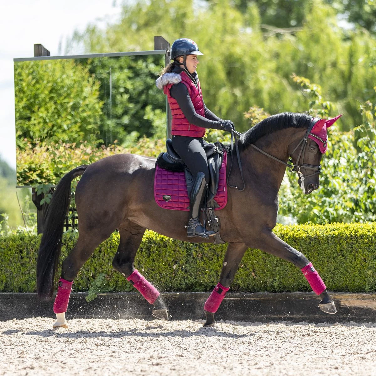 LeMieux Loire Classic Dressage Square 17 LeMieux Loire Classic Dressage Square - Image 15