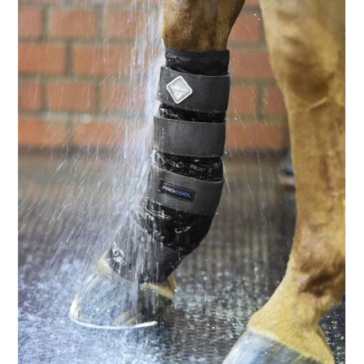 LeMieux Cold Water Boots 6 LeMieux Cold Water Boots - Image 4