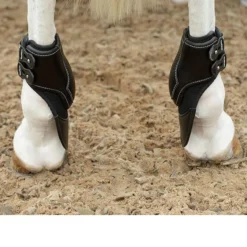 Equifit ImpacTeq Liners For Extended Hind Boot -Farm housse black2 05059.1590073273.1280.1280