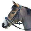 Wintec English Bridle With Flash Noseband -Farm housse black3 94565.1586445749.1280.1280