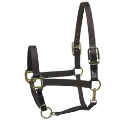 Perri's Premium Nylon Safety Halter -Farm housse black 53938.1588257174.1280.1280