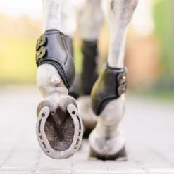 EquiFit Eq-Teq Hind Boot -Farm housse boots2 27406adf dcf7 4644 b134 b0e8f1c65bf4