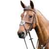 Prestige 3E080 Leather Bridle With Figure 8 Noseband -Farm housse bridle
