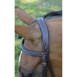 KL Select Italia Tuscany Hunter Bridle -Farm housse bridle2 50748.1586537314.1280.1280