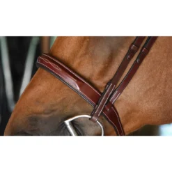 KL Select Italia Tuscany Hunter Bridle -Farm housse bridle3 07782.1586537314.1280.1280