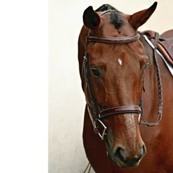 Nunn Finer Caterina Hunter Bridle 11 Nunn Finer Caterina Hunter Bridle -Farm housse bridle5 897aa7a3 ce3b 4720 b97d 9e9ac9222f48