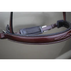 Red Barn By KL Select Spirit Hunter Bridle -Farm housse bridle5 92493.1586977787.1280.1280