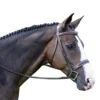 Red Barn By KL Select Sonoma Hunter Bridle -Farm housse bridle 358ca1f9 b0b9 43ee 86d4 96e032ff673d