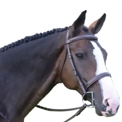 Black Oak By KL Select Spruce Hunter Bridle