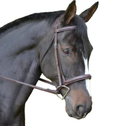 Black Oak By KL Select Cyprus Hunter Bridle
