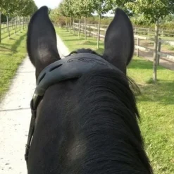 Acavallo Gel Nose Or Poll Guard -Farm housse brown4correct 11551.1588788861.1280.1280