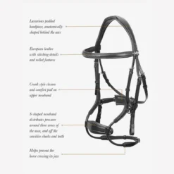 LeMieux Kudos Clear Arc Bridle -Farm housse c2ac5715 b74a 4edd a742 6b976d57f9ee