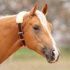 Professional's Choice The Dare Cribbing Collar -Farm housse c4a4814c 914d 42f6 bdd3 54b49ef1a060