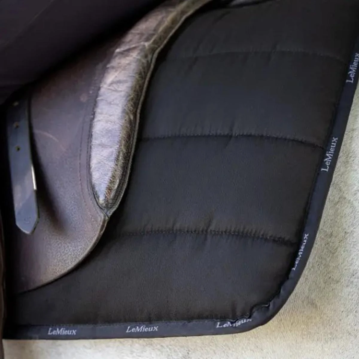 LeMieux GP Work Pad 4 LeMieux GP Work Pad - Image 2