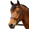 Nunn Finer Event Bridle 1 Nunn Finer Event Bridle -Farm housse c9f61cc4 6d06 422a 8ce7 bffe0fb0fb15