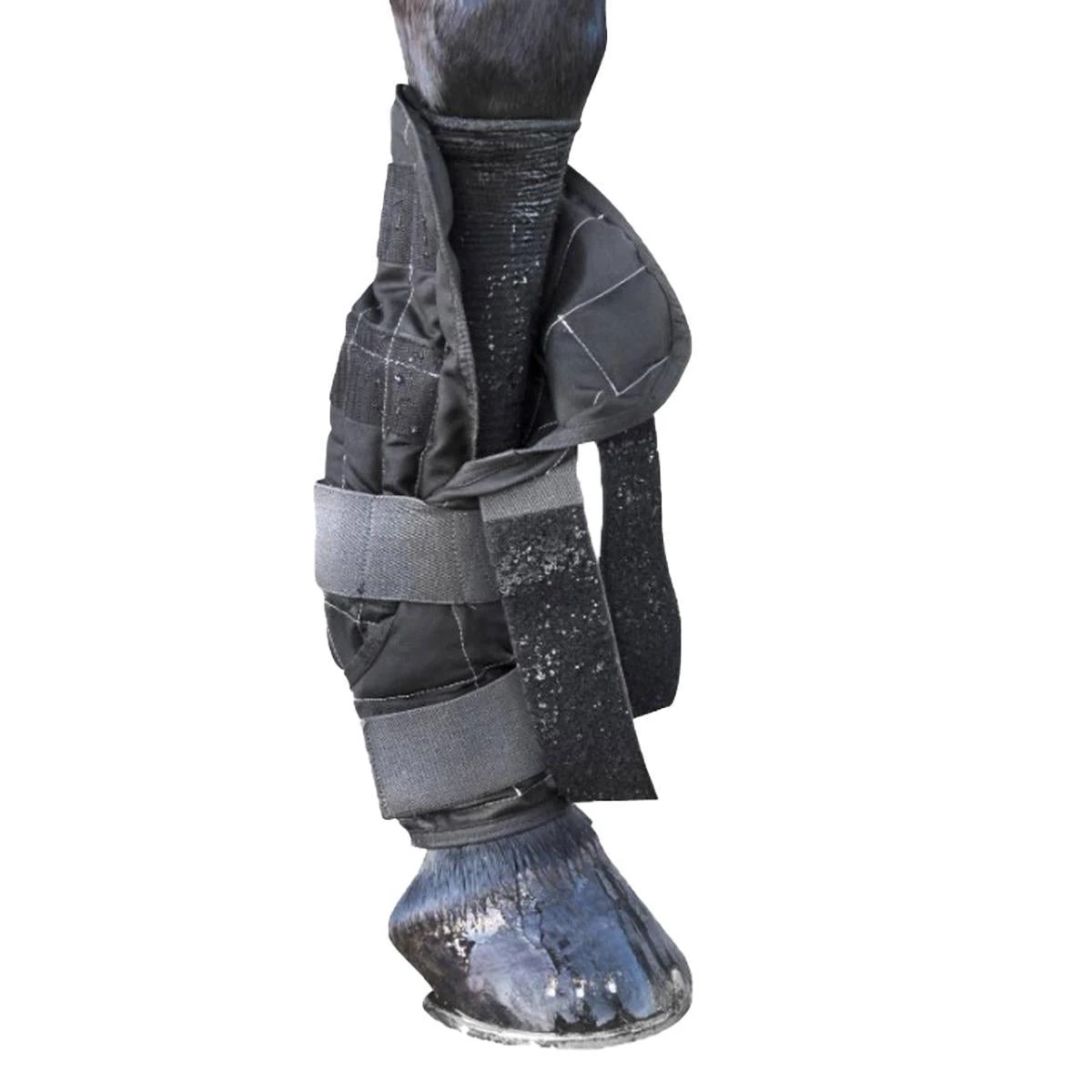 LeMieux Cold Water Boots 4 LeMieux Cold Water Boots - Image 2