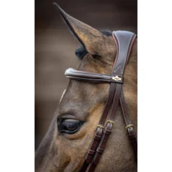 LeMieux Kudos Competition Flash Bridle -Farm housse d25bcc63ee6cf06a6048db0d798b1c66