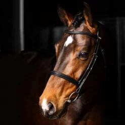 LeMieux Arika Cavesson Bridle -Farm housse d28eb9da 58ea 4016 a55d 5b8b54792e30