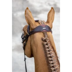 LeMieux Kudos Competition Flash Bridle -Farm housse d984ac48394e0d2c413d53eb3e9d56c9