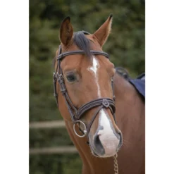 Penelope Elegance Bridle -Farm housse dcffadd08e6aecaab8a7f68db76704ff