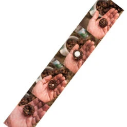 Front Page -Farm housse dimplesmeds 53513.1479418768.1280.1280