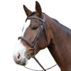 Avignon Ocala Bridle -Farm housse e019c191afe63520253b57a90002e915