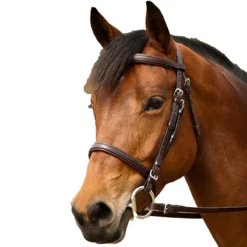 Nunn Finer Event Bridle -Farm housse e3389560 1ff9 469d 8ffc 8551c60a01d8