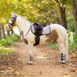 LeMieux Mini Suede Close Contact Square Pad -Farm housse eb25ec23 ec2d 450a aa95 9ad2b84fe839