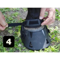 Gatusos Shoes With Pad -Farm housse ec901fc7eb250274dee2c91cfef8b593