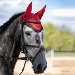 LeMieux Classic Fly Hood -Farm housse f58ae0e3 e31a 46bb 9c89 203608d039d0