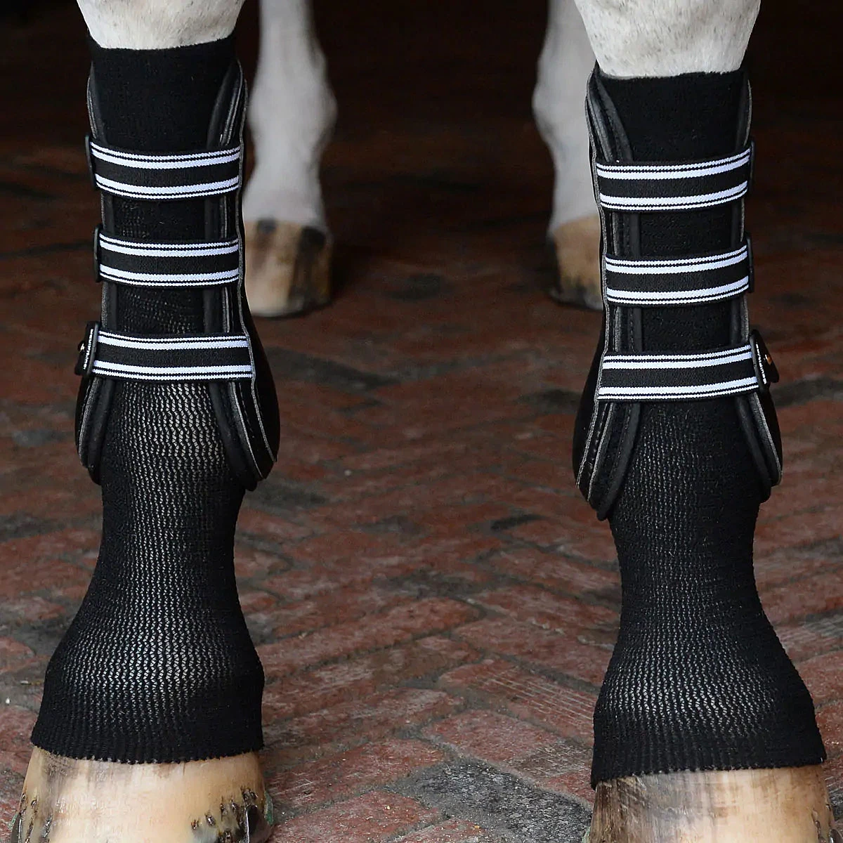 EquiFit GelSox For Horses 4 EquiFit GelSox For Horses - Image 2