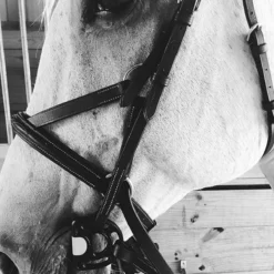 Acavallo Sensitive Bit -Farm housse grey bit10 82744.1587749855.1280.1280