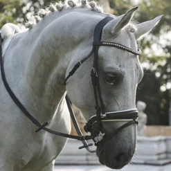 Acavallo Sensitive Bit -Farm housse grey bit8 41036.1587749856.1280.1280